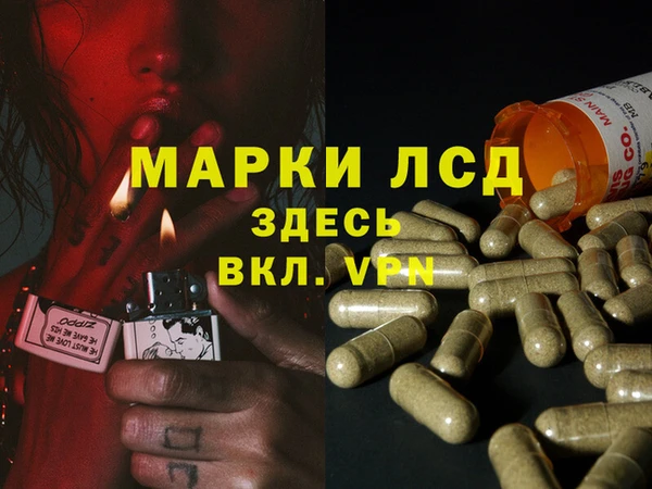 дурь Аркадак